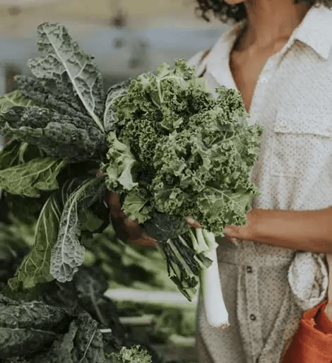 Fresh Vegetables